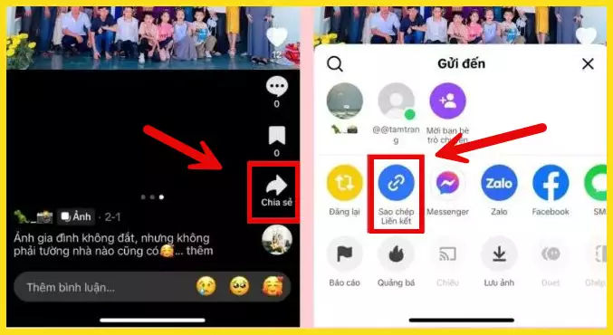 Hướng dẫn Tải Ảnh TikTok Không Có Logo Miễn Phí và Hiệu Quả