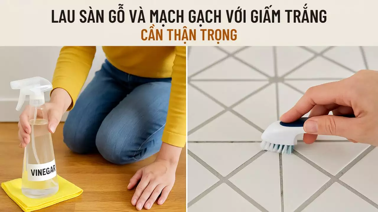 Sức Mạnh Đa Năng Của Giấm Trắng: Hướng Dẫn Vệ Sinh An Toàn & Hiệu Quả